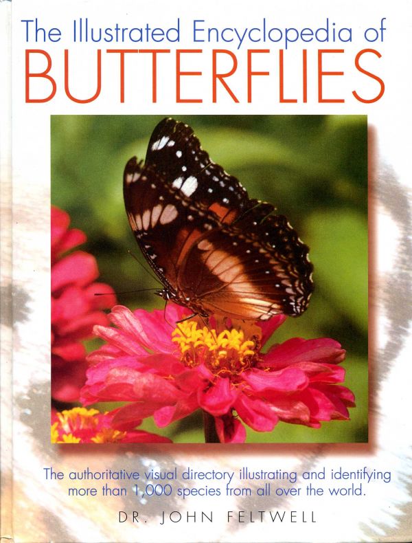 The Illustrated Encyclopedia of Butterflies - 592 FEL